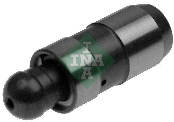 INA 420021810