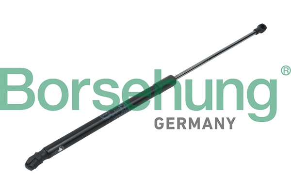 BORSEHUNG B14191