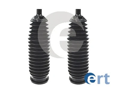 ERT 102366