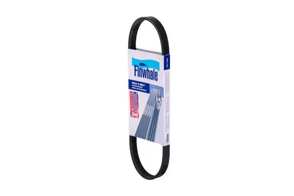 FINWHALE BP4PK643E