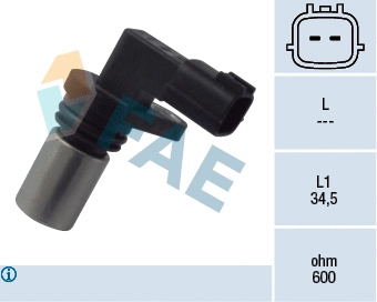 FAE 79091