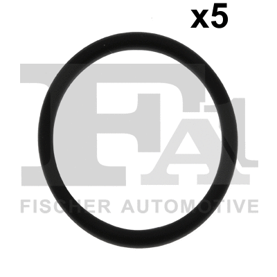 FA1 076379005