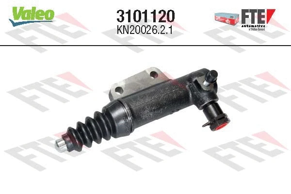 FTE 3101120