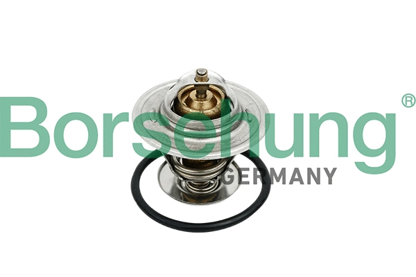 BORSEHUNG B18259