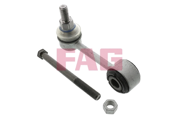 FAG 818019610