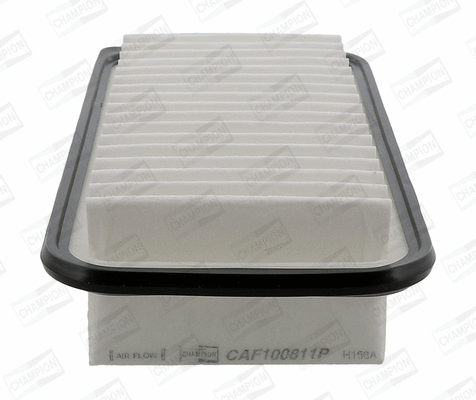 CHAMPION CAF100811P