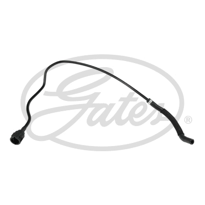 GATES 021687