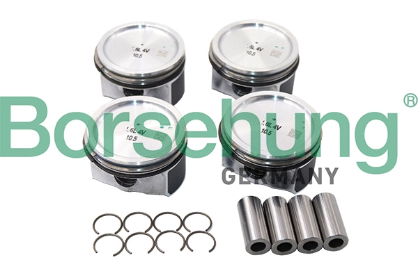 BORSEHUNG B13576