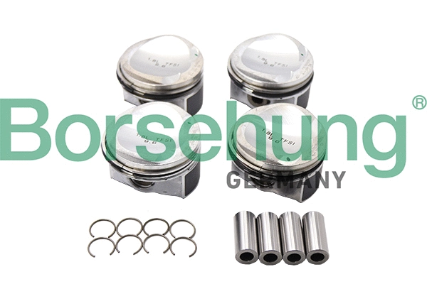 BORSEHUNG B13582