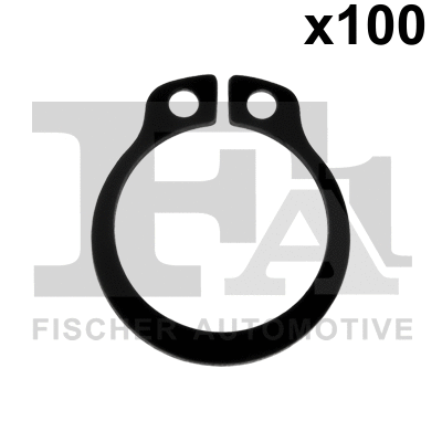 FA1 524870100
