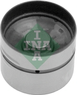 INA 420004710