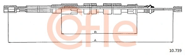 COFLE 10739