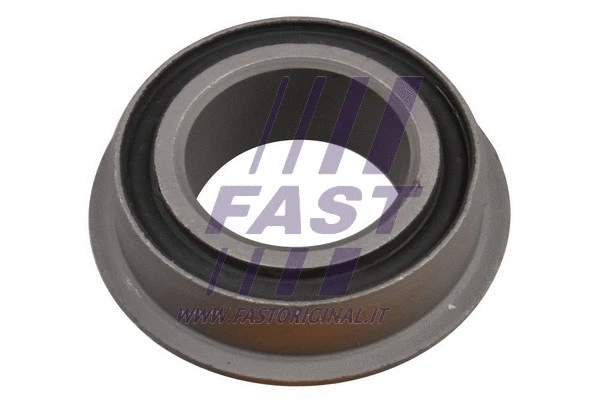 FAST FT18310