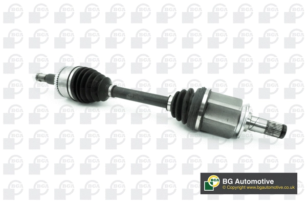 BGA DS4206L