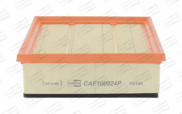CHAMPION CAF100924P