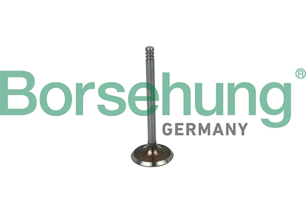 BORSEHUNG B19016