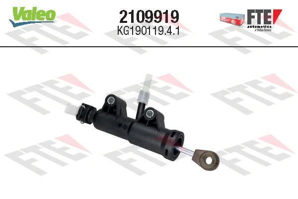 FTE 2109919