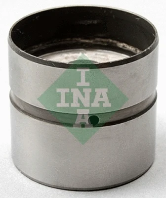 INA 420021110