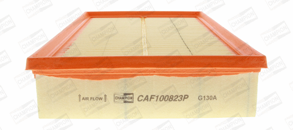 CHAMPION CAF100823P