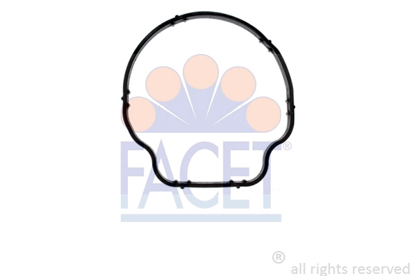 FACET 79707