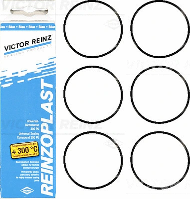 VICTOR REINZ 157674103