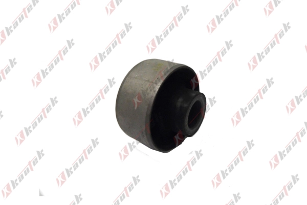 KAUTEK DWBS002