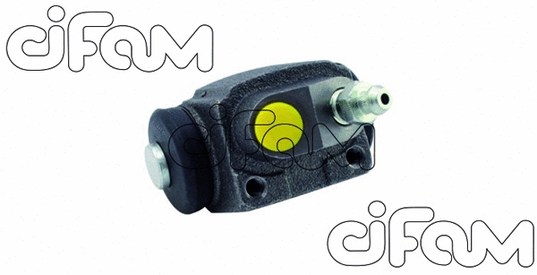 CIFAM 101356