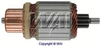 WAI 618218