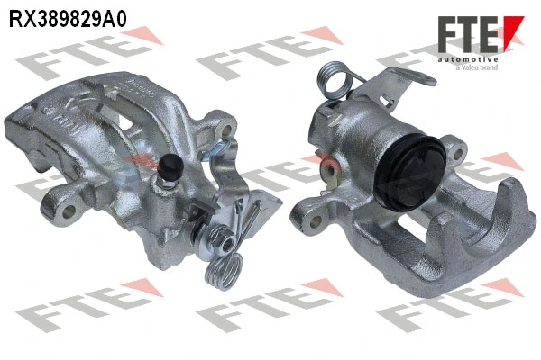 FTE RX389829A0