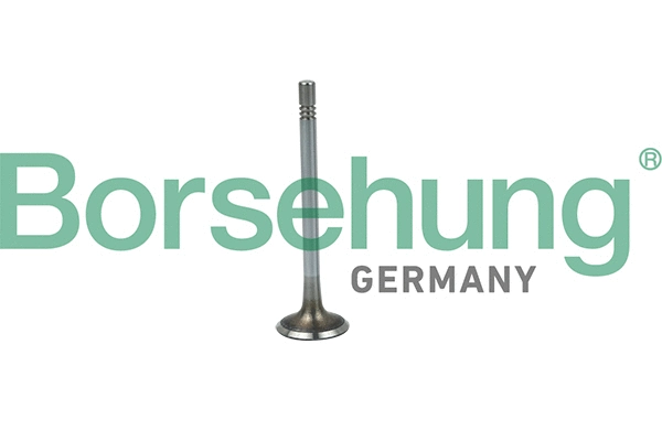 BORSEHUNG B19020