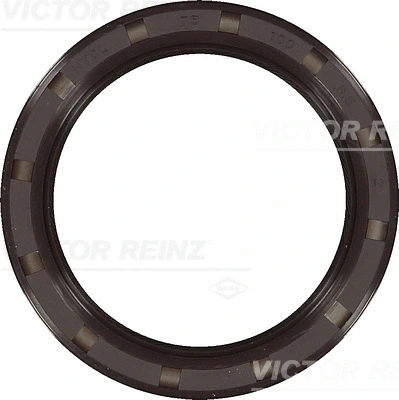 VICTOR REINZ 815331100
