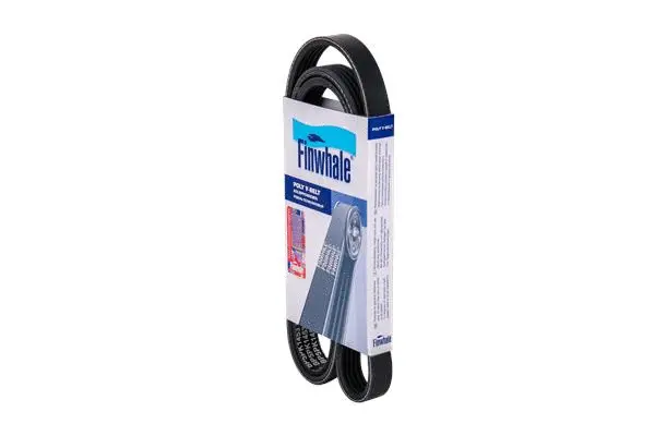 FINWHALE BP5PK1453