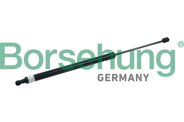 BORSEHUNG B18458