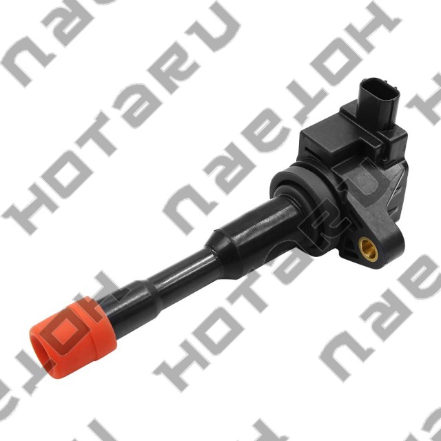 HOTARU HIGS0306