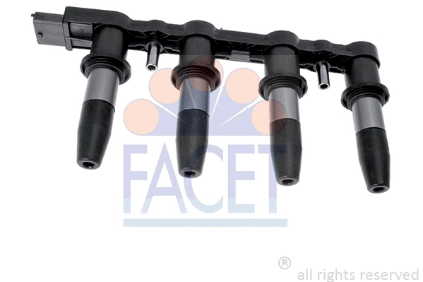 FACET 96350