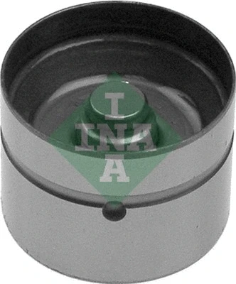 INA 420009310