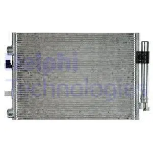 DELPHI CF20217