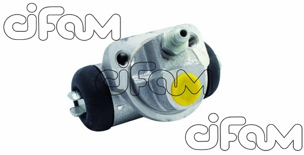 CIFAM 101199