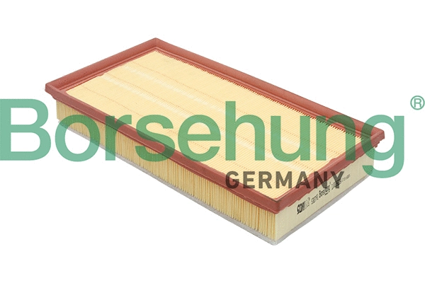 BORSEHUNG B12806