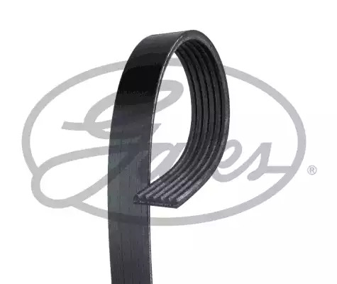 GATES 12PK1815ES