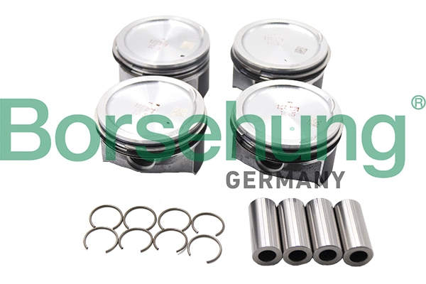 BORSEHUNG B13577