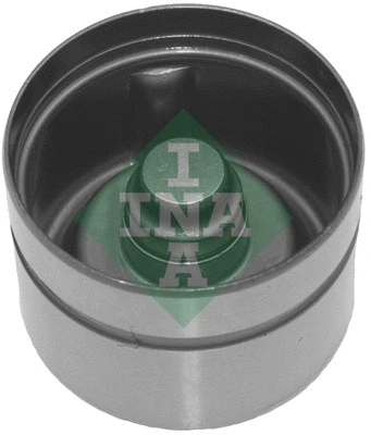 INA 420017010
