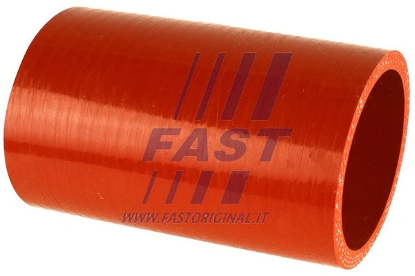 FAST FT61930