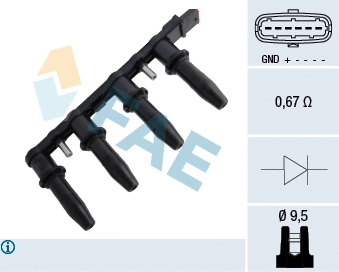 FAE 80291