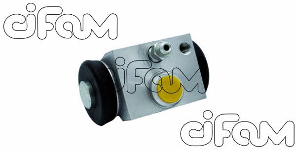 CIFAM 101973
