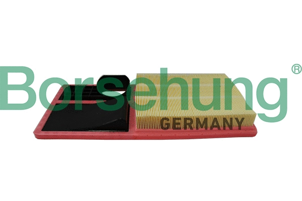 BORSEHUNG B19096