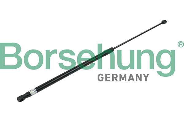 BORSEHUNG B14197