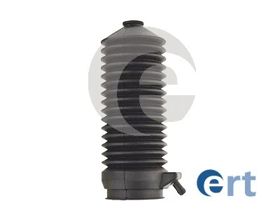 ERT 101675
