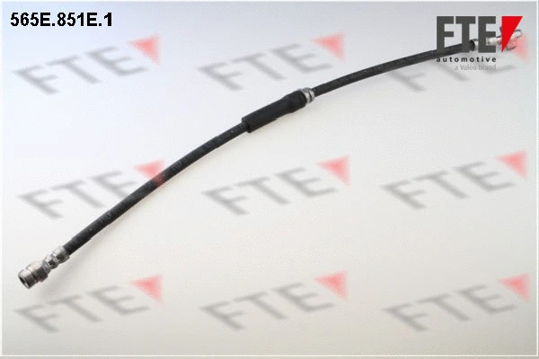 FTE 565E851E1