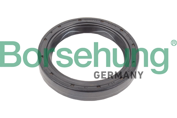 BORSEHUNG B17834
